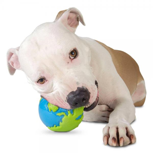 Planet Dog Orbee Ball Large Blue Green Gr. L